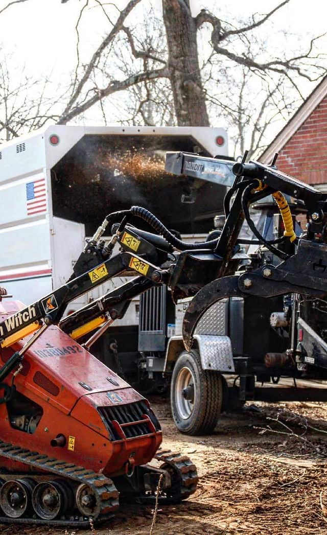 Justin, founder of Justin's Tree Service