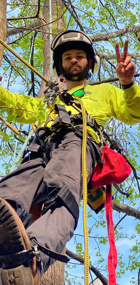 Justin's Tree Service crew