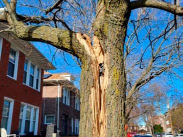 Storm damage emergency response