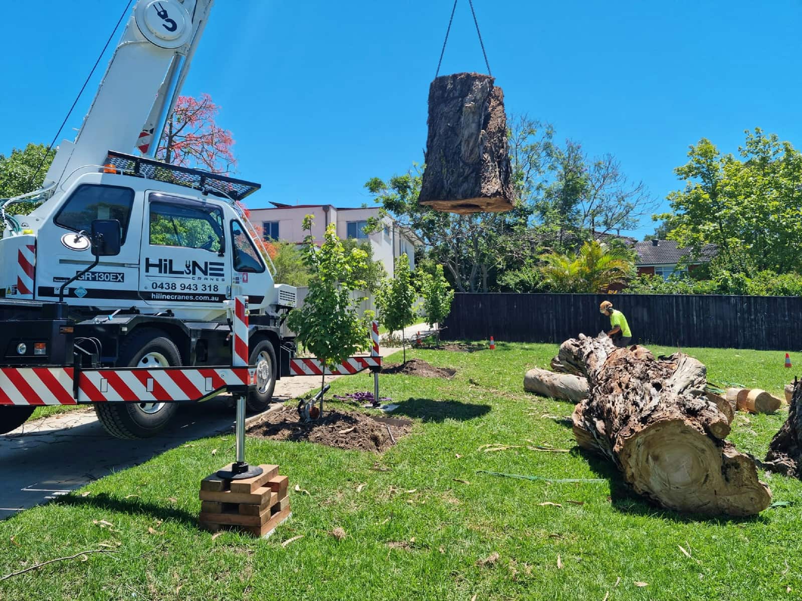 Tree removal service